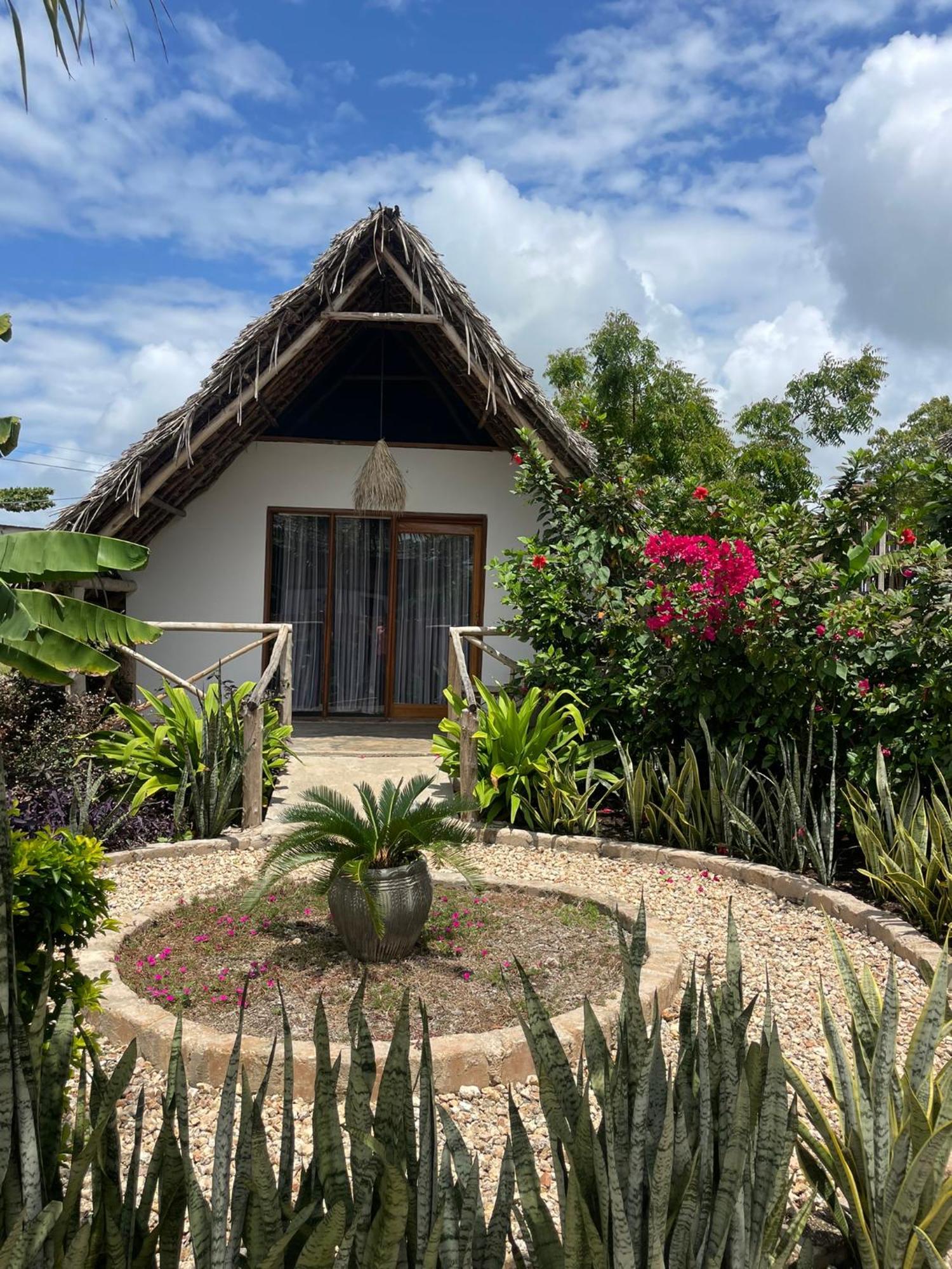 Kokopelli Bungalows Nungwi Extérieur photo
