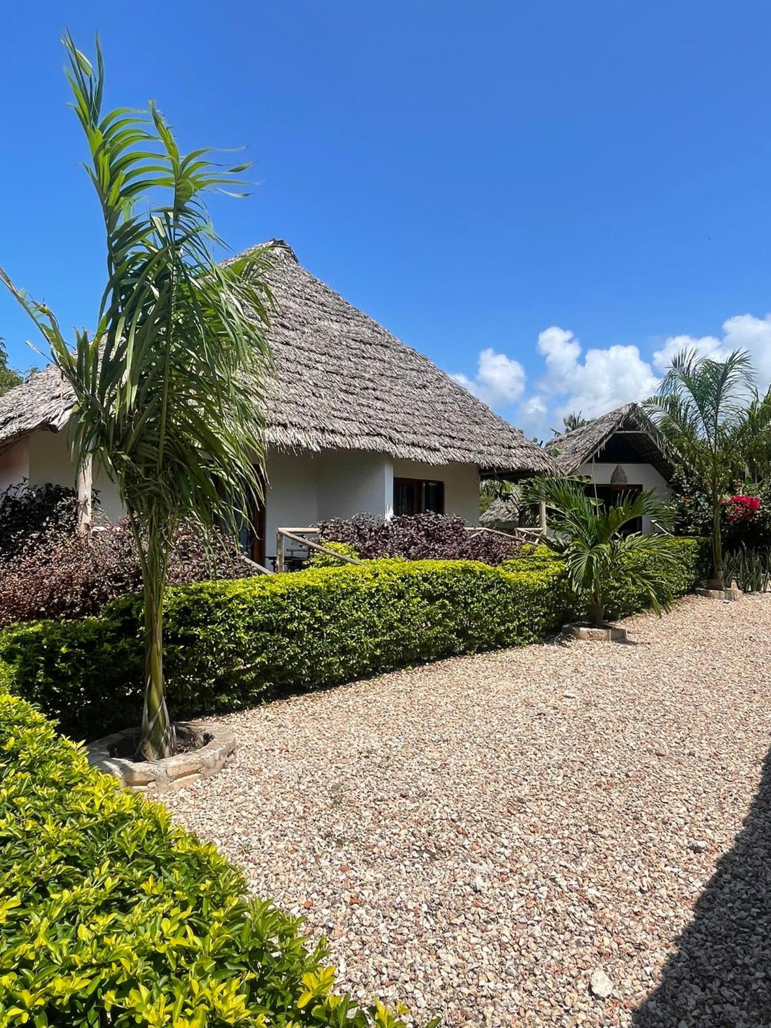 Kokopelli Bungalows Nungwi Extérieur photo