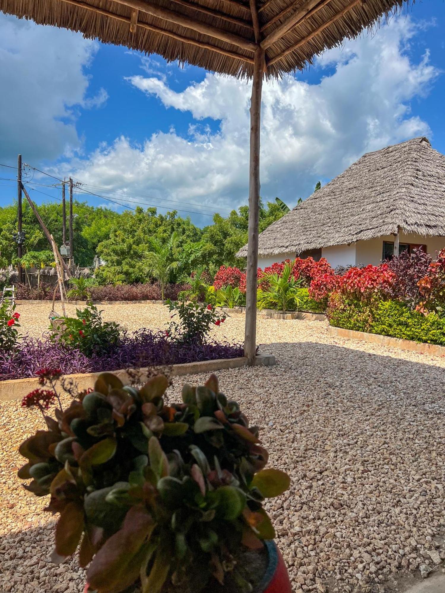 Kokopelli Bungalows Nungwi Extérieur photo